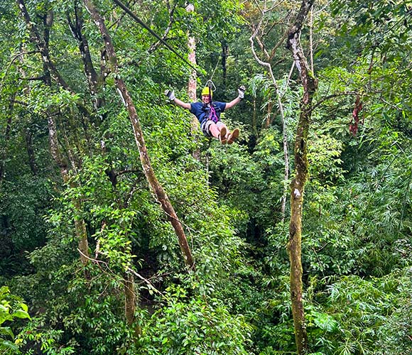 canopy